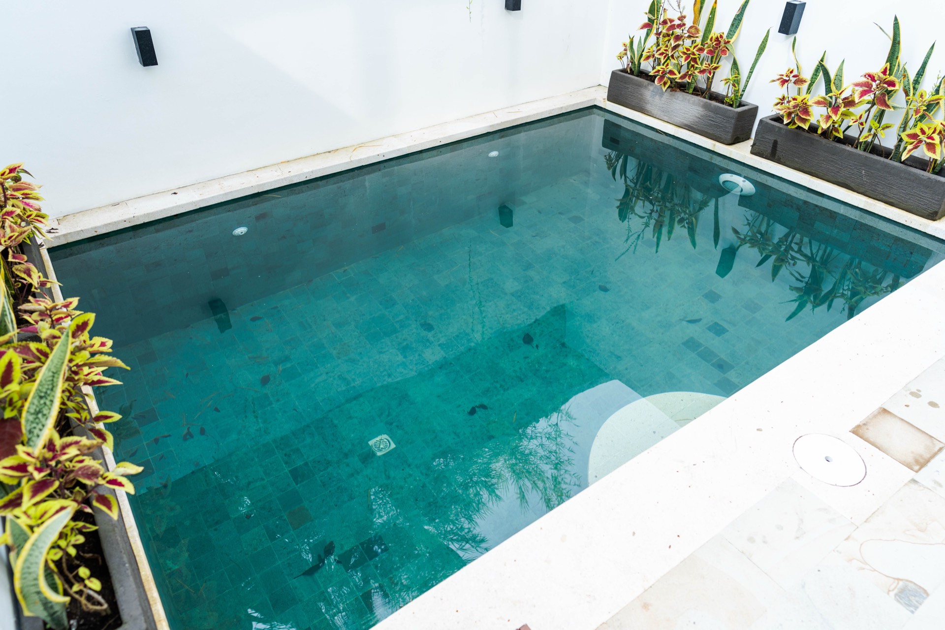 Private pool top-down with planter wall